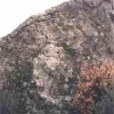 Piedra Escrita 13 - Fachada trasera: el oso